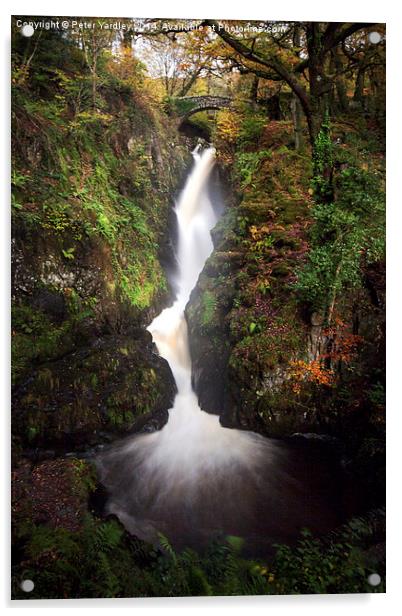  Aira Force Acrylic by Peter Yardley