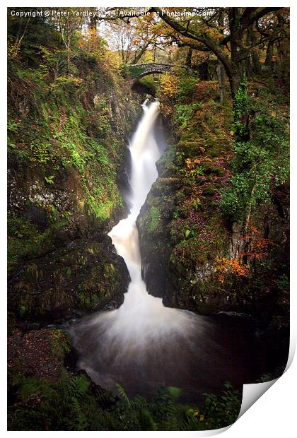  Aira Force Print by Peter Yardley