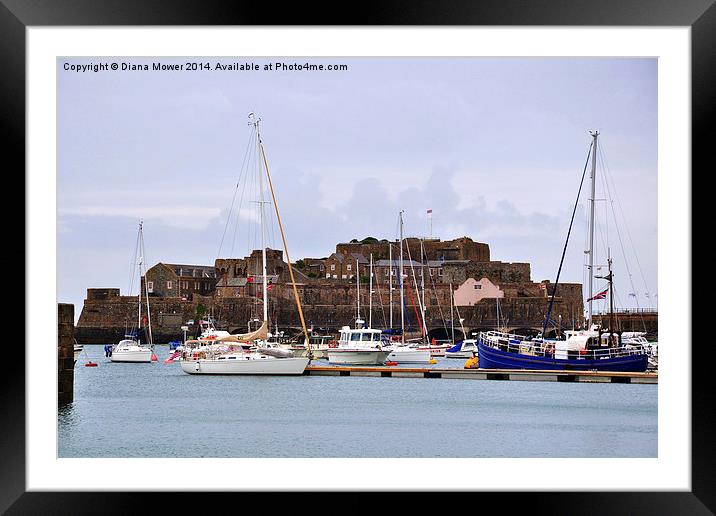  St Peter Port Harbour Framed Mounted Print by Diana Mower