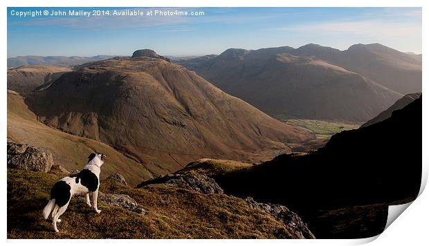  Border Collie Dog Overlooking Wasdale Print by John Malley