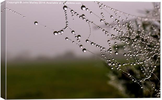 Dewdrops on a spiders web Canvas Print by John Malley