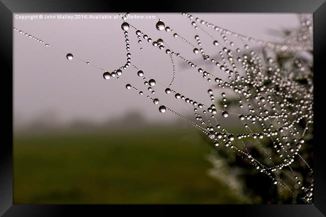 Dewdrops on a spiders web Framed Print by John Malley