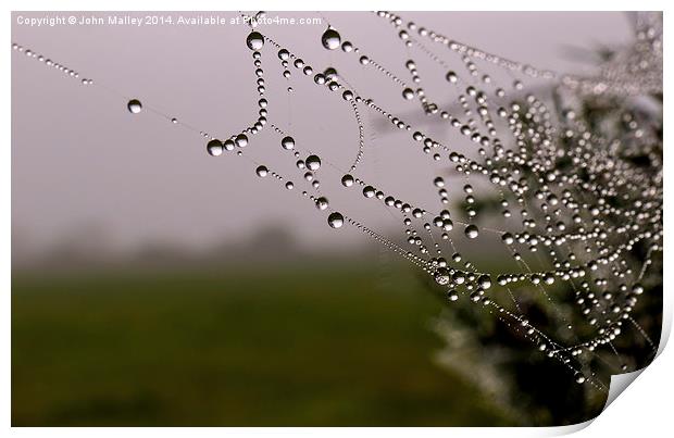 Dewdrops on a spiders web Print by John Malley