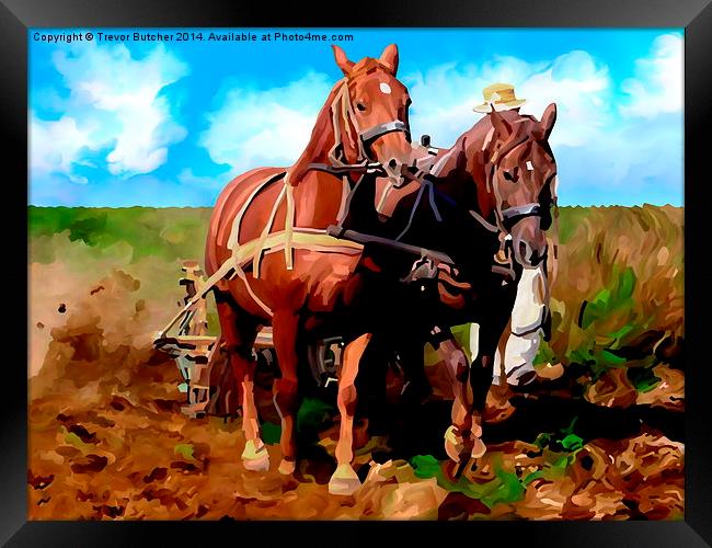  Plough Horses with Blue Sky Framed Print by Trevor Butcher