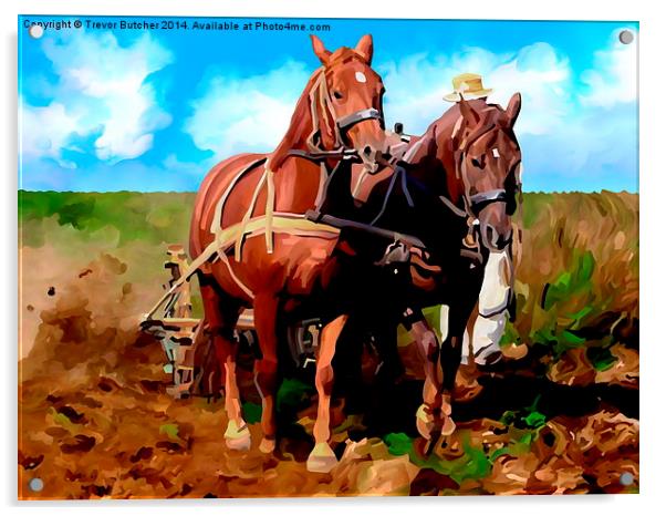 Plough Horses with Blue Sky Acrylic by Trevor Butcher
