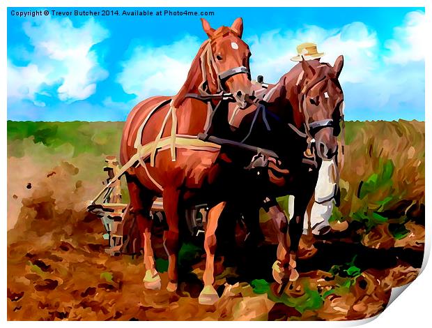  Plough Horses with Blue Sky Print by Trevor Butcher