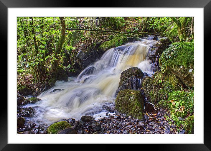  Woodland Stream Framed Mounted Print by Jamie Green