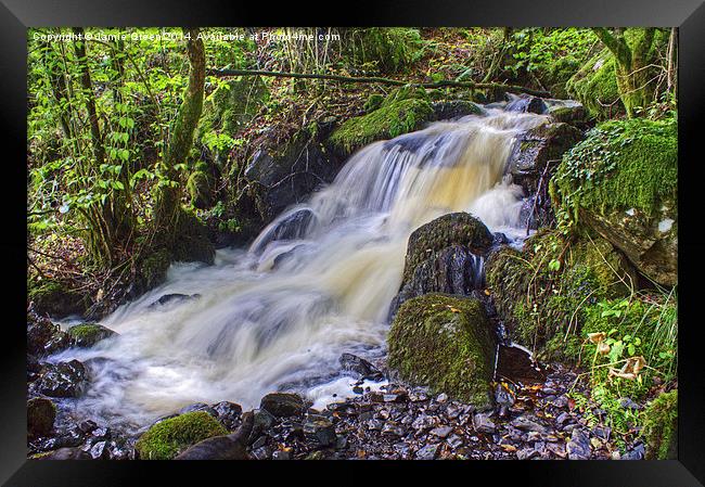  Woodland Stream Framed Print by Jamie Green