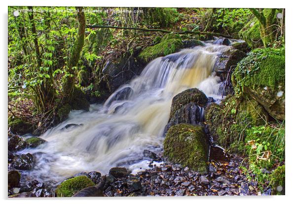  Woodland Stream Acrylic by Jamie Green