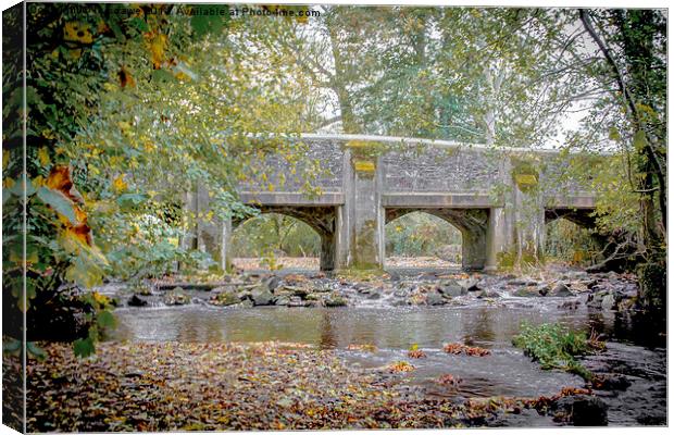  A bridge to nowhere Canvas Print by Images of Devon