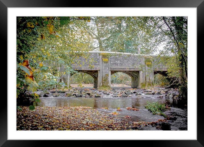  A bridge to nowhere Framed Mounted Print by Images of Devon