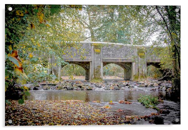  A bridge to nowhere Acrylic by Images of Devon