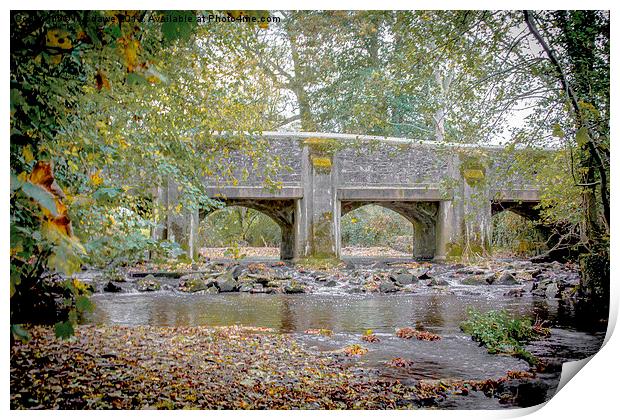  A bridge to nowhere Print by Images of Devon