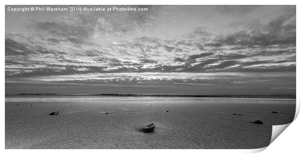  Branksome Dawn Print by Phil Wareham