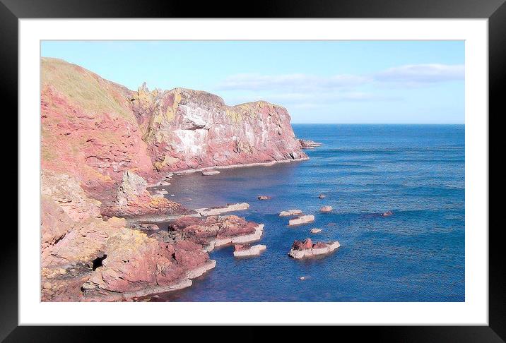 st abbs head Framed Mounted Print by dale rys (LP)