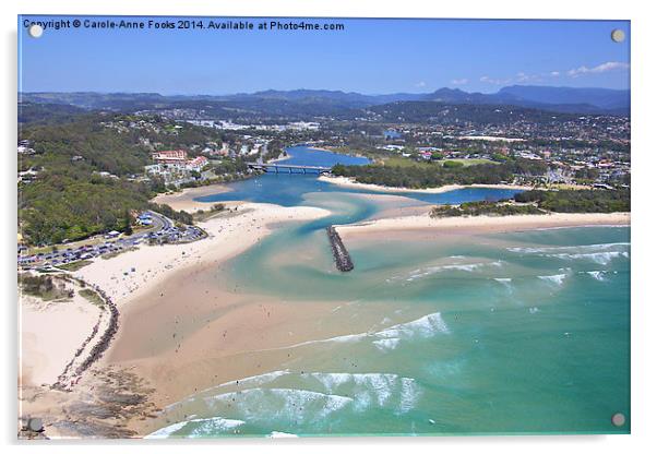   Gold Coast Aerial Acrylic by Carole-Anne Fooks