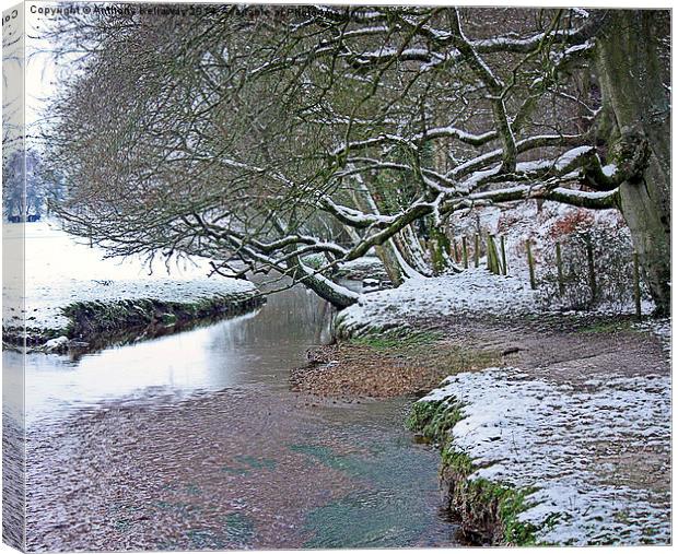  NEW FOREST SNOW SCENE Canvas Print by Anthony Kellaway