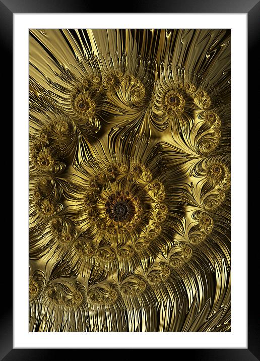 Golden Spiral Framed Mounted Print by Steve Purnell