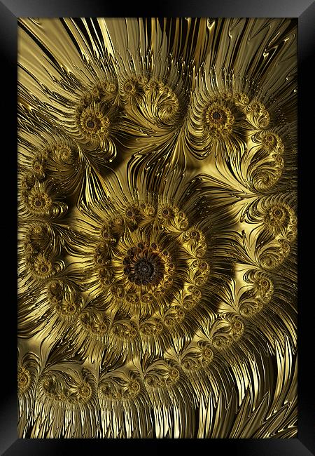 Golden Spiral Framed Print by Steve Purnell