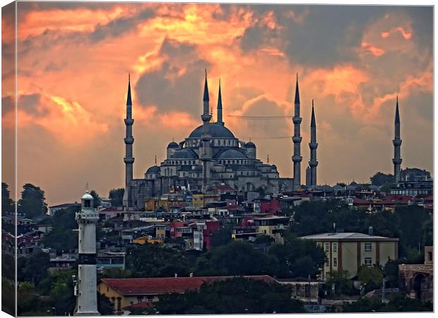 The Blue Mosque, Istanbul Canvas Print by Tom Gomez