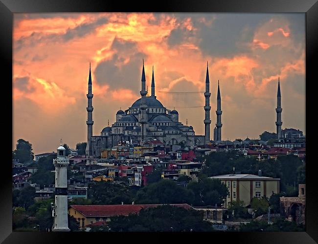 The Blue Mosque, Istanbul Framed Print by Tom Gomez