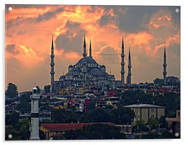 The Blue Mosque, Istanbul Acrylic by Tom Gomez