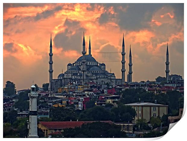 The Blue Mosque, Istanbul Print by Tom Gomez