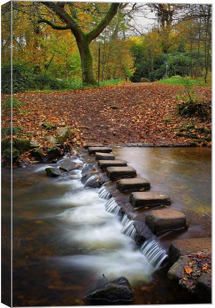 Porter Brook Stepping Stones and Falls Canvas Print by Darren Galpin