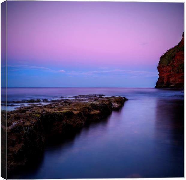  Ladram Magenta Canvas Print by Andy Bennette