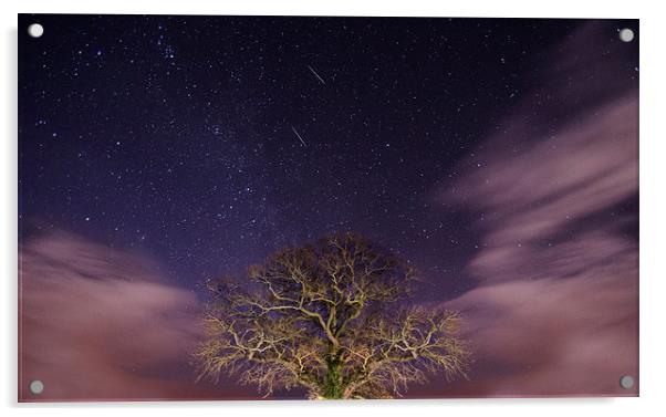  Geminids Meteor Shower Acrylic by Darren Carter
