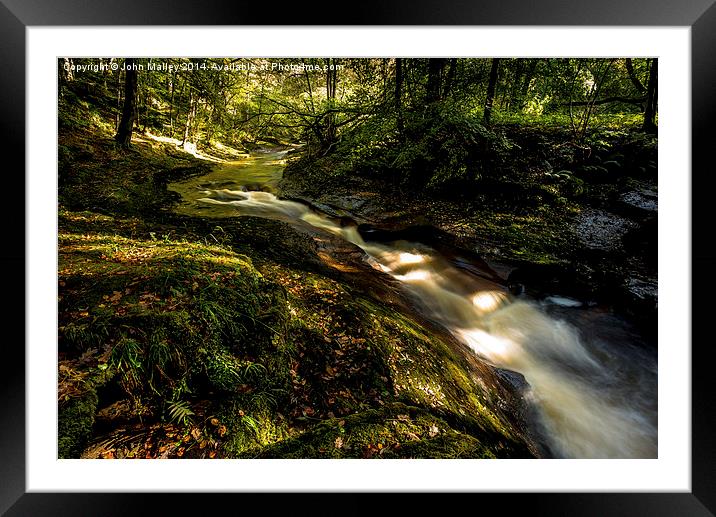  Stream Passage Through Woodland Framed Mounted Print by John Malley