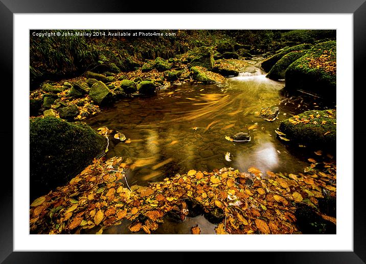 Flowing Autumn Leaves  Framed Mounted Print by John Malley
