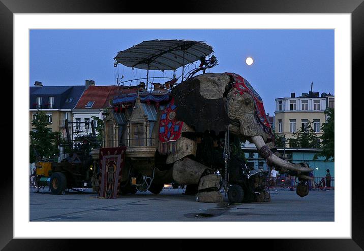  The Sultans Elephant Framed Mounted Print by Alan Whyte