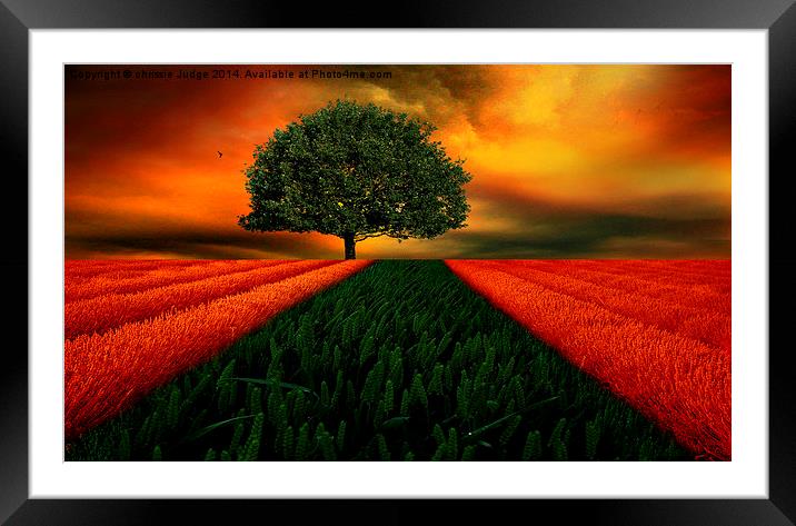  the green tree Framed Mounted Print by Heaven's Gift xxx68
