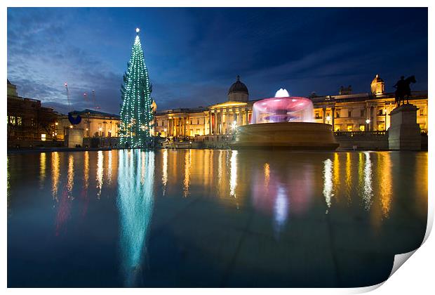Christmas  Tree Trafalgar Square Print by David French