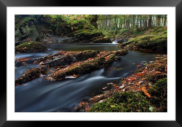  Forest river Framed Mounted Print by Rory Trappe
