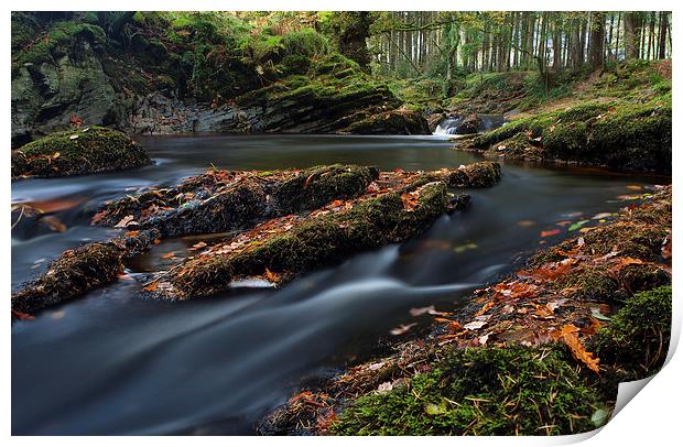 Forest river Print by Rory Trappe