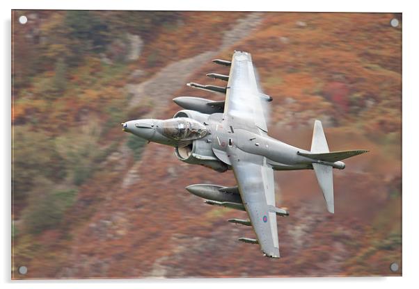  RAF Harrier Acrylic by Rory Trappe