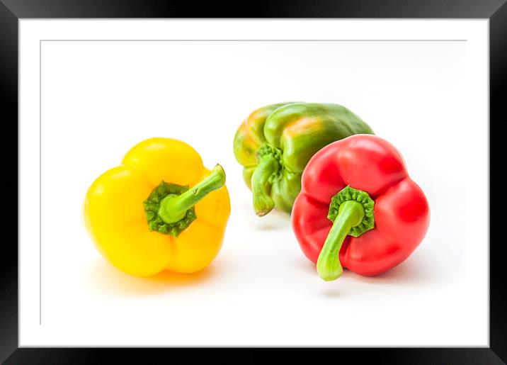 Mixed Peppers 1 Framed Mounted Print by Steve Purnell