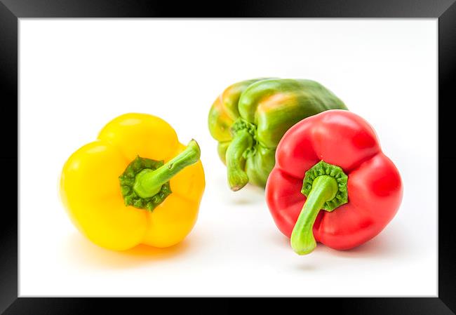 Mixed Peppers 1 Framed Print by Steve Purnell