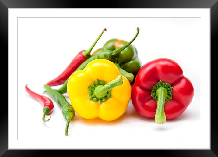 Mixed Peppers 2 Framed Mounted Print by Steve Purnell