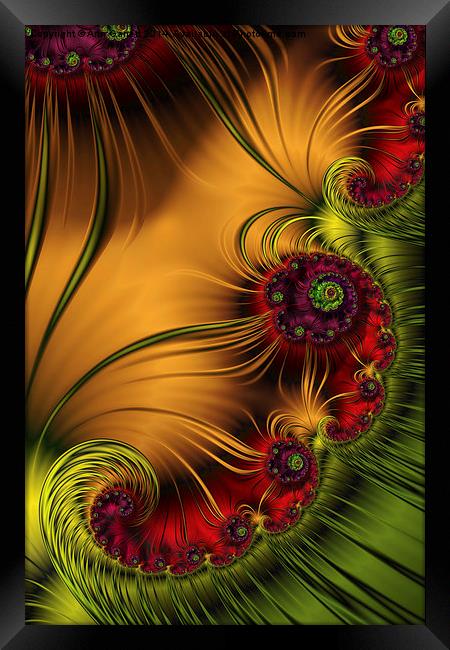 Medallions A Fractal Abstract Framed Print by Ann Garrett