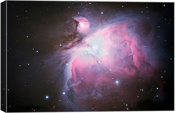 THE ORION NEBULA M42 Canvas Print by DAVID SAUNDERS