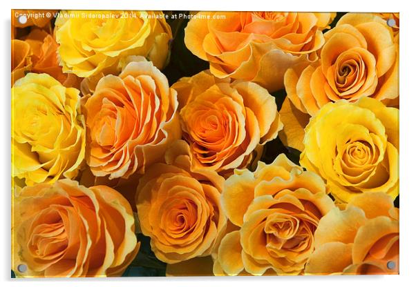  Yellow roses Acrylic by Vladimir Sidoropolev