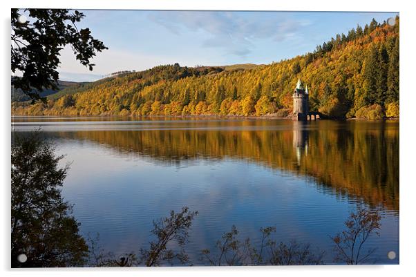 Lake Vyrnwy Acrylic by Rory Trappe