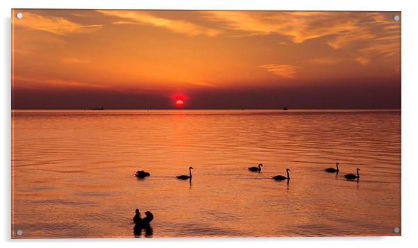  Baltic coast at sunset! Acrylic by Inguna Plume
