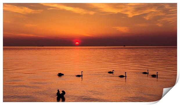 Baltic coast at sunset! Print by Inguna Plume