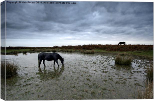 Some Ponies Prefer Soup Canvas Print by Nick Pound