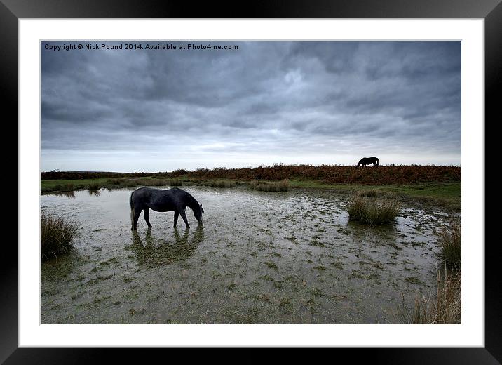 Some Ponies Prefer Soup Framed Mounted Print by Nick Pound