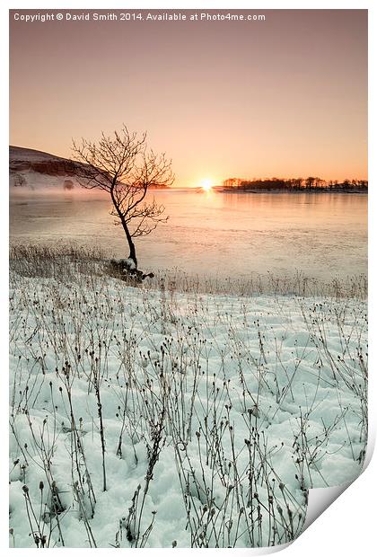  Malham Tarn sunrise Print by David Smith